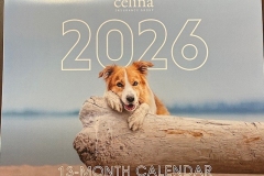Animal-Calendar-2026
